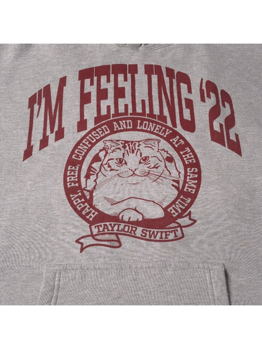 Taylor Swift Gray Hoodie Im Feeling 22 Concert Large Cat Graphic Stars Sleeve